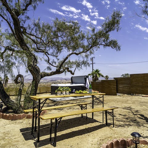 Enjoy lunch under the mesquite and desert willow trees while you listen to the birds