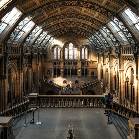 Be inspired by the Natural History Museum – just a short tube ride or walk away