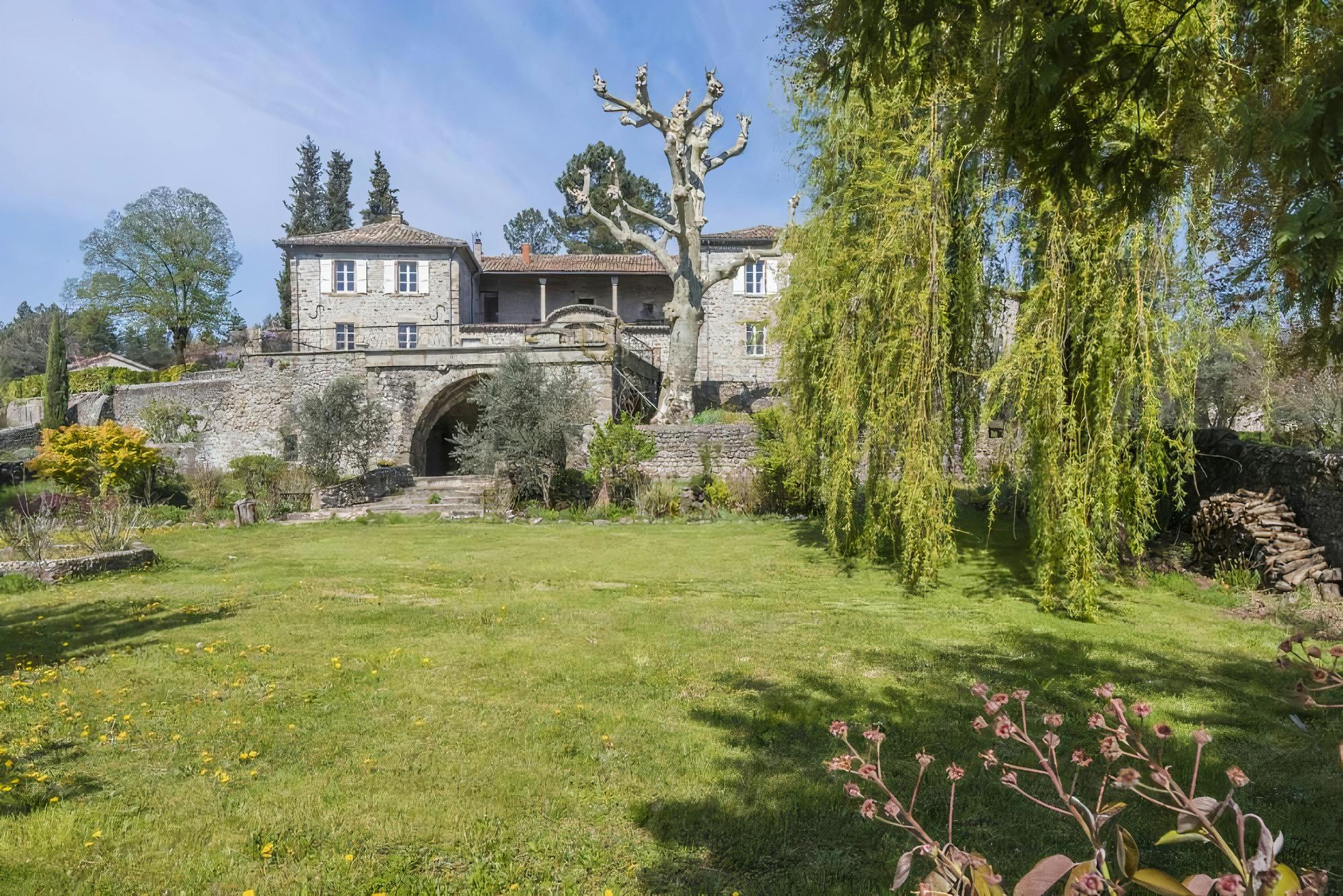 Under the Willow Tree