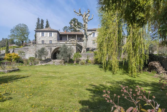 Under the Willow Tree