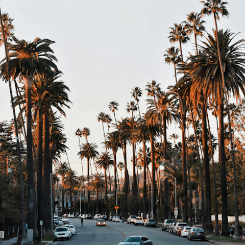 Experience the best of LA living from Beverly Hills