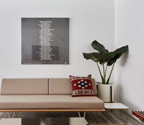 The happy plant in the living room
