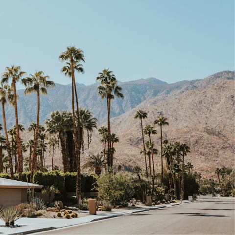 Embrace a fun-filled desert escape in Palm Spring