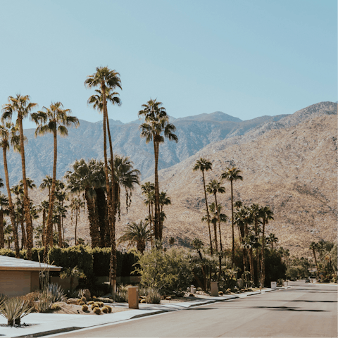 Embrace a fun-filled desert escape in Palm Spring
