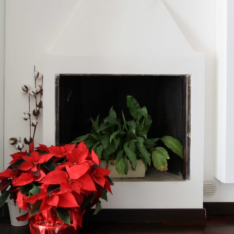 The reclaimed fireplace