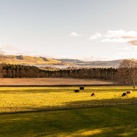 Enjoy panoramic views of the River Tay and the surrounding landscape