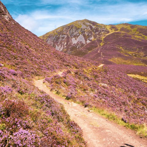 Discover the heather-covered hills of Cairngorms National Park, a fifty-minute drive away