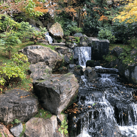 Take a picnic to Holland Park – it's a four-minute walk away