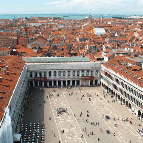 Go for a coffee in St Mark's Square, 500 metres away