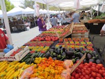 Head to a Helen Albert Certified Farmer’s Market