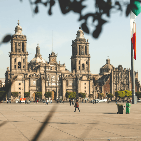 Explore iconic sights across the heart of Mexico City