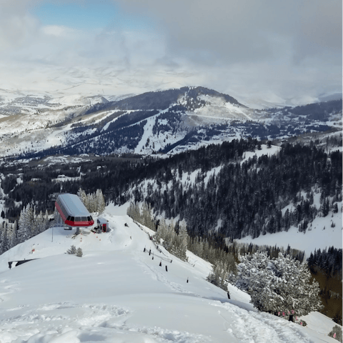 Hop on the shuttle bus and hit the slopes – ski resorts are just minutes away