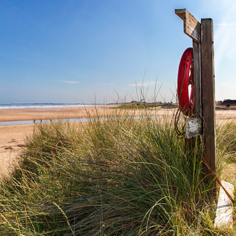 Discover the golden sands of Alnmouth Beach – it's a thirteen-minute walk