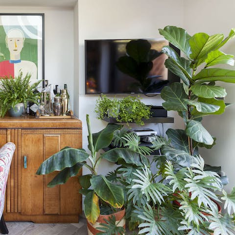 A botanical dream