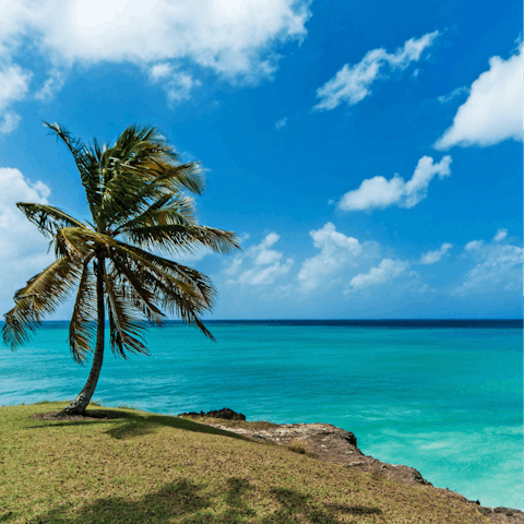 Explore the idyllic beaches stretching along the coast – a short drive away