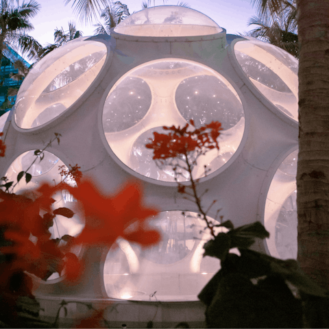 Get inspired in the Design District, twenty-minute drive away