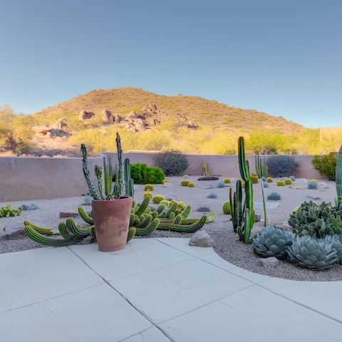 Admire the McDowell Mountain views at sunset