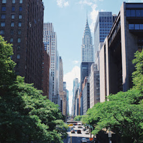 Step out from your apartment and discover the best Manhattan has to offer