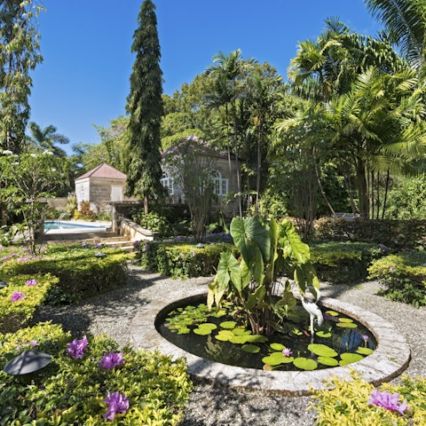 Stroll through the stunning tropical gardens