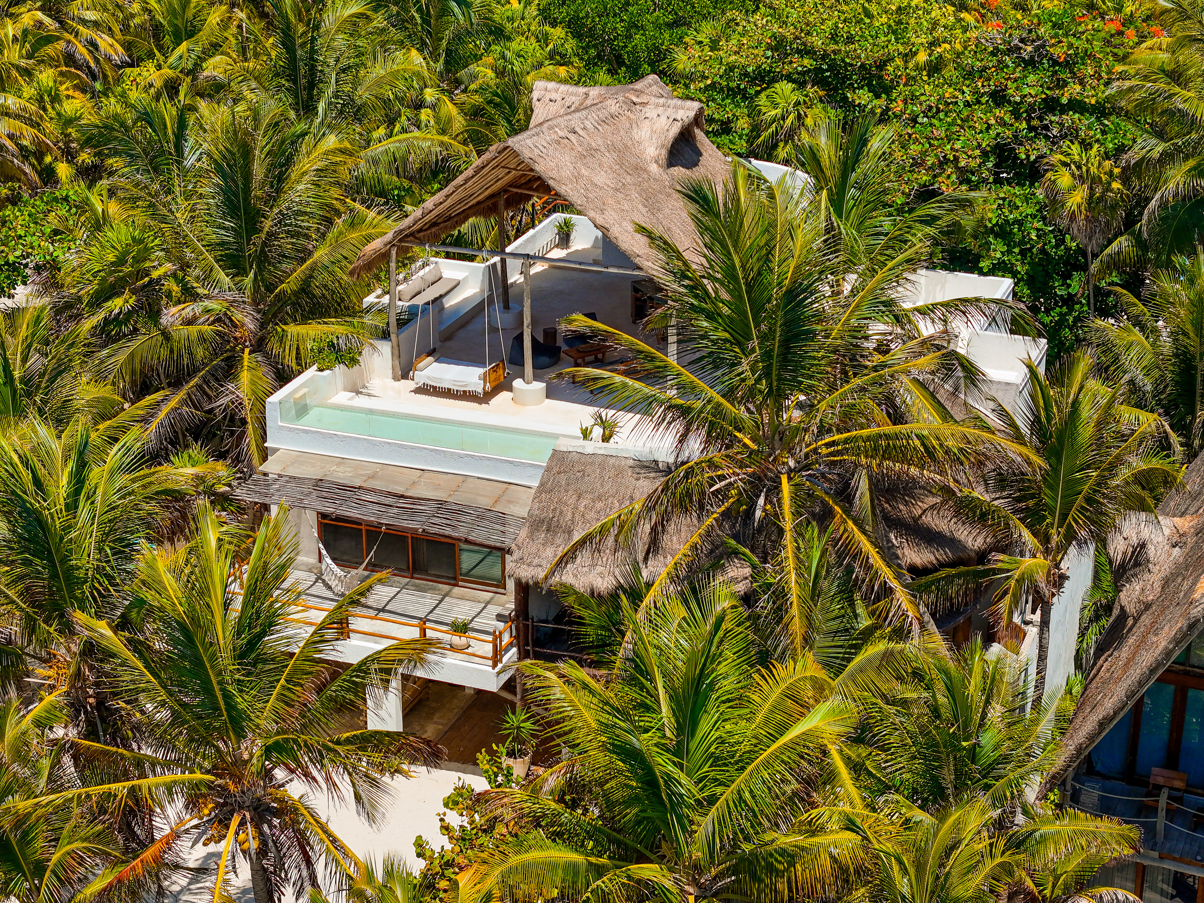 Caribbean Crush