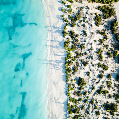 Explore the stunning beaches of the Turks and Caicos Islands