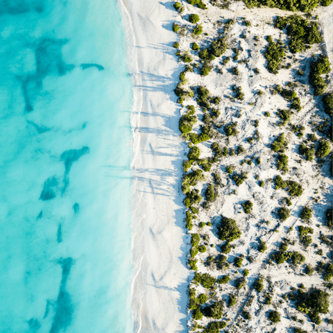 Explore the stunning beaches of the Turks and Caicos Islands