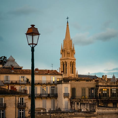 Drive into Montpellier with its beaches and fantastic restaurants