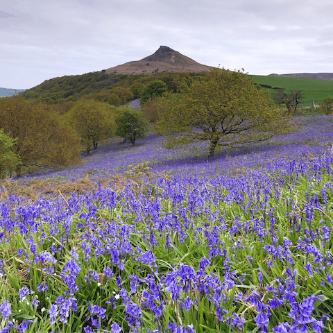 Climb the slopes of Roseberry Topping, a seven-minute drive away