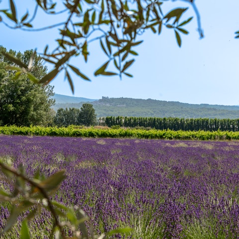 Explore the landscapes of Provence, right on your doorstep