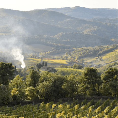 Experience the magic of the Prosecco Hills from the heart of Conegliano