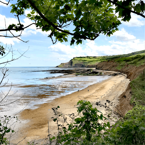 Enjoy watching your dog frolick in the surf as you walk along the nearby beach