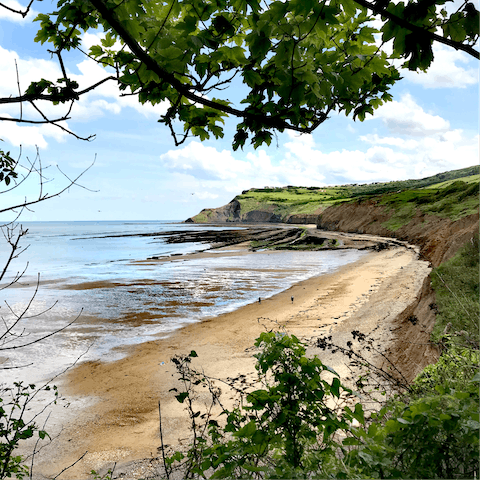 Enjoy watching your dog frolick in the surf as you walk along the nearby beach