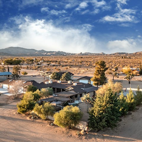 Immerse yourself in ten acres of land in the Joshua Tree desert