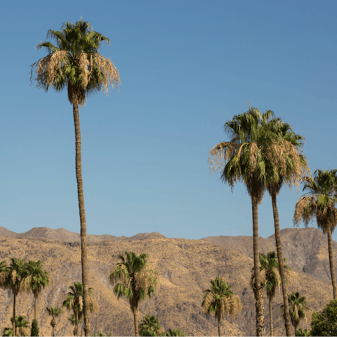 Stay on exclusive Millionaire's Row in Palm Springs