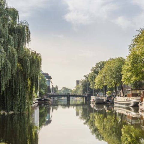 Explore Amsterdam from the Plantage district