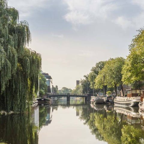 Explore Amsterdam from the Plantage district