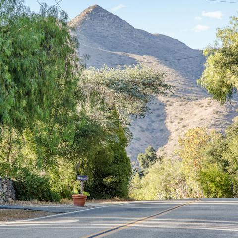 Spend the day hiking in the Californian outdoors