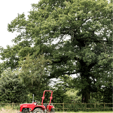 Enjoy long, picturesque country walks