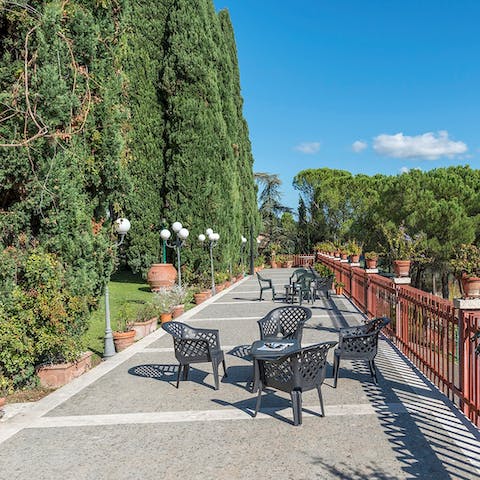 Finding a hiding spot for a drink amidst the trees