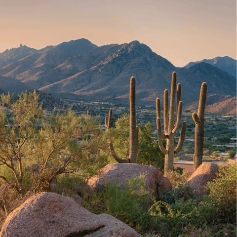 Explore the beautiful desert landscape in nearby Pinnacle Peak Park