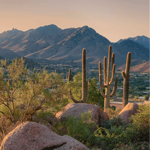 Explore the beautiful desert landscape in nearby Pinnacle Peak Park