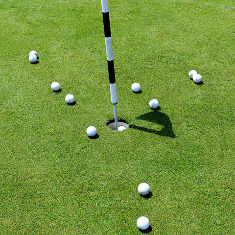 Book in a morning on the fairways – there’s four golf courses nearby to choose from