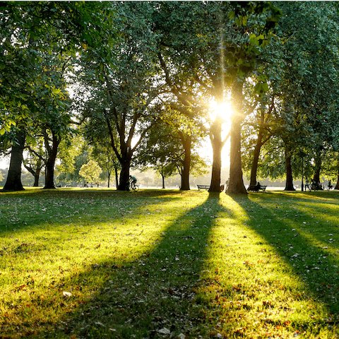 Hire a pedalo and explore the Serpentine in Hyde Park, ten minutes away
