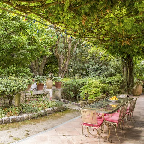 Savour your brunch on the patio, surrounded by lush greenery
