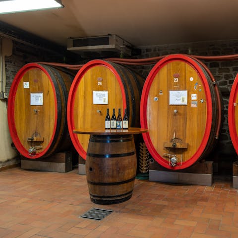 Experience the local wines on a wine tasting