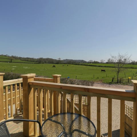 Enjoy serene countryside views from the private balcony