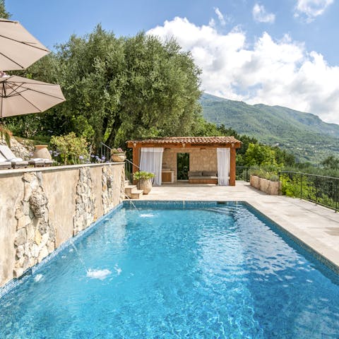 Relax in the French sun in the private heated pool