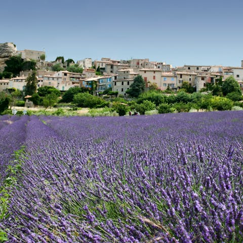 Explore this corner of the South of France, including nearby Grasse