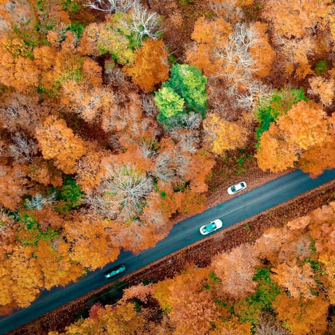 Immerse yourself in the natural beauty of the Pocono Mountains