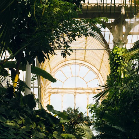 Travel a few stops on the Overground to Kew Gardens